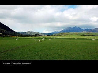 Southwest of south island C Grassland 