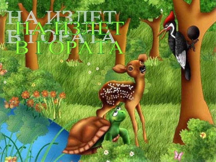 на излет в гората
