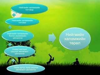 ядуурал ба нийгмийн хамгааллын тогтолцоо | PPT