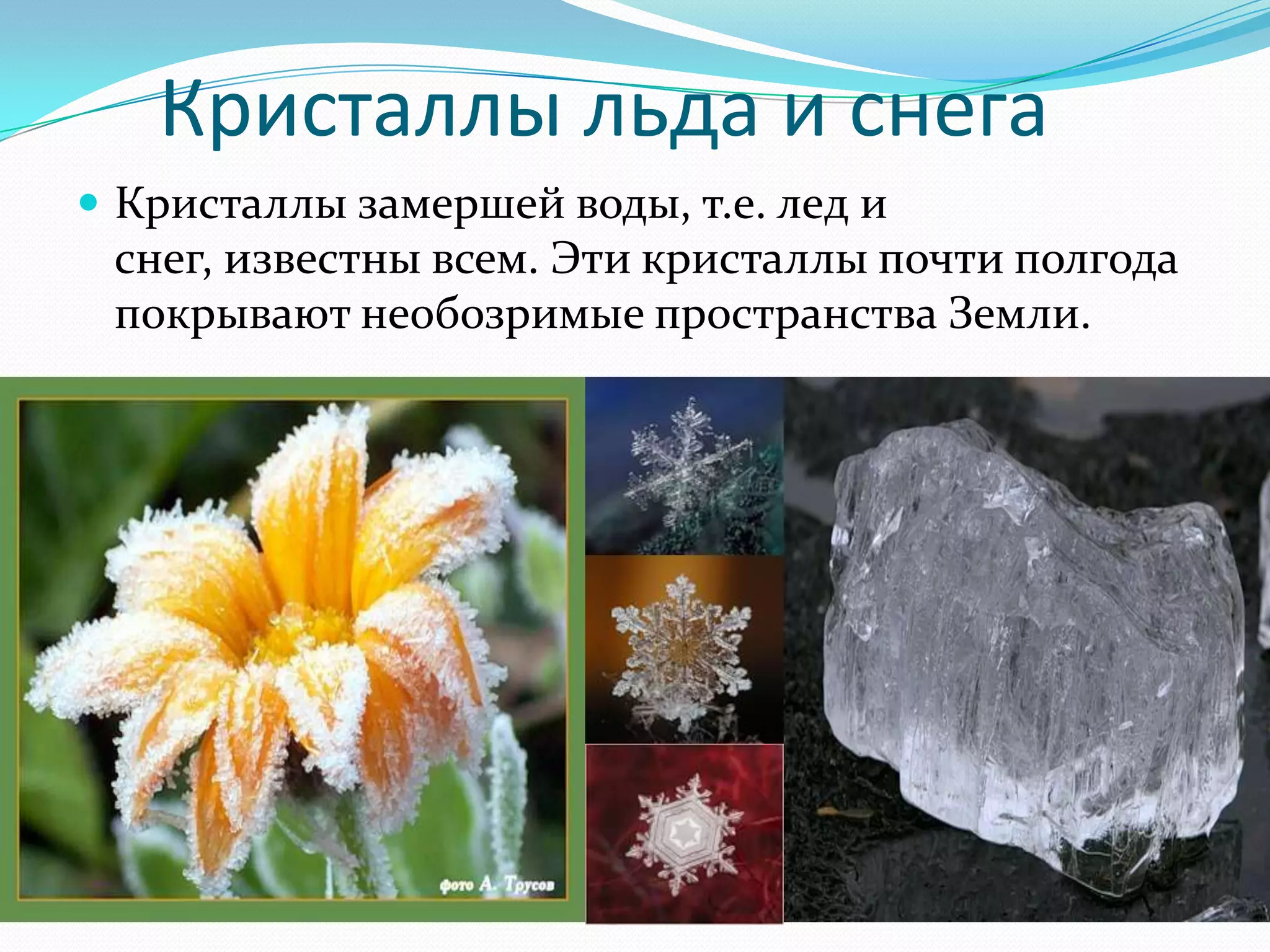 Кристаллы льда и снега
 Кристаллы замершей воды, т.е. лед и
 снег, известны всем. Эти кристаллы почти полгода
 покрывают необозримые пространства Земли.
 
