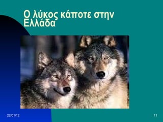 Ο λύκος κάποτε στην Ελλάδα 22/01/12 