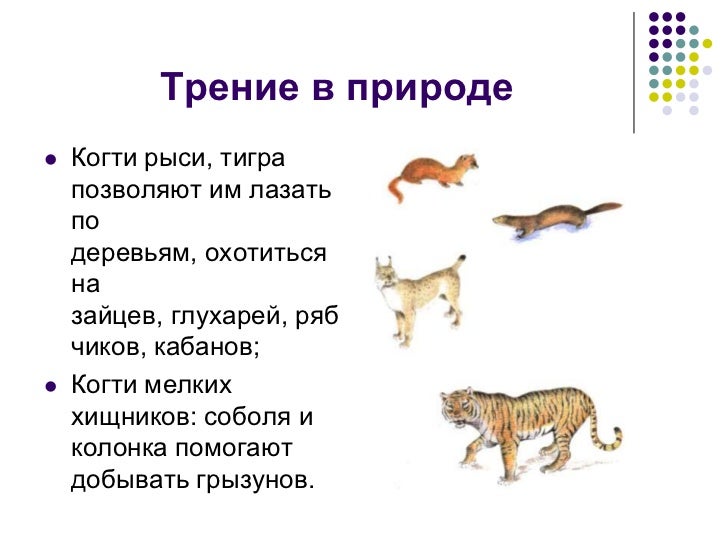 Трение в природе рисунок