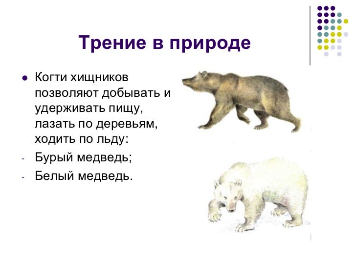 Трение в природе кратко