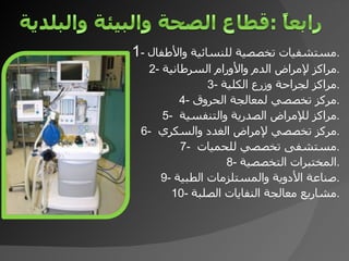 1 -  مستشفيات تخصصية للنسائية والأطفال . 2-  مراكز لإمراض الدم والأورام السرطانية . 3-  مراكز لجراحة وزرع الكلية . 4-  مركز تخصصي لمعالجة الحروق . 5-  مراكز للإمراض الصدرية والتنفسية  . 6-  مركز تخصصي لإمراض الغدد والسكري  . 7-  مستشفى تخصصي للحميات  . 8-  المختبرات التخصصية . 9-  صناعة الأدوية والمستلزمات الطبية . 10-  مشاريع معالجة النفايات الصلبة . 