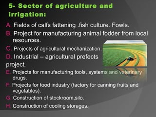 5- Sector of agriculture and irrigation: A.  Fields of calfs fattening .fish culture. Fowls. B.  Project for manufacturing animal fodder from local resources. C.   Projects of agricultural mechanization . D.  Industrial – agricultural prefects  project . E.  Projects for manufacturing tools, systems and veterinary drugs. F.  Projects for food industry (factory for canning fruits and vegetables). G.  Construction of stockroom,silo. H.  Construction of cooling storages . 