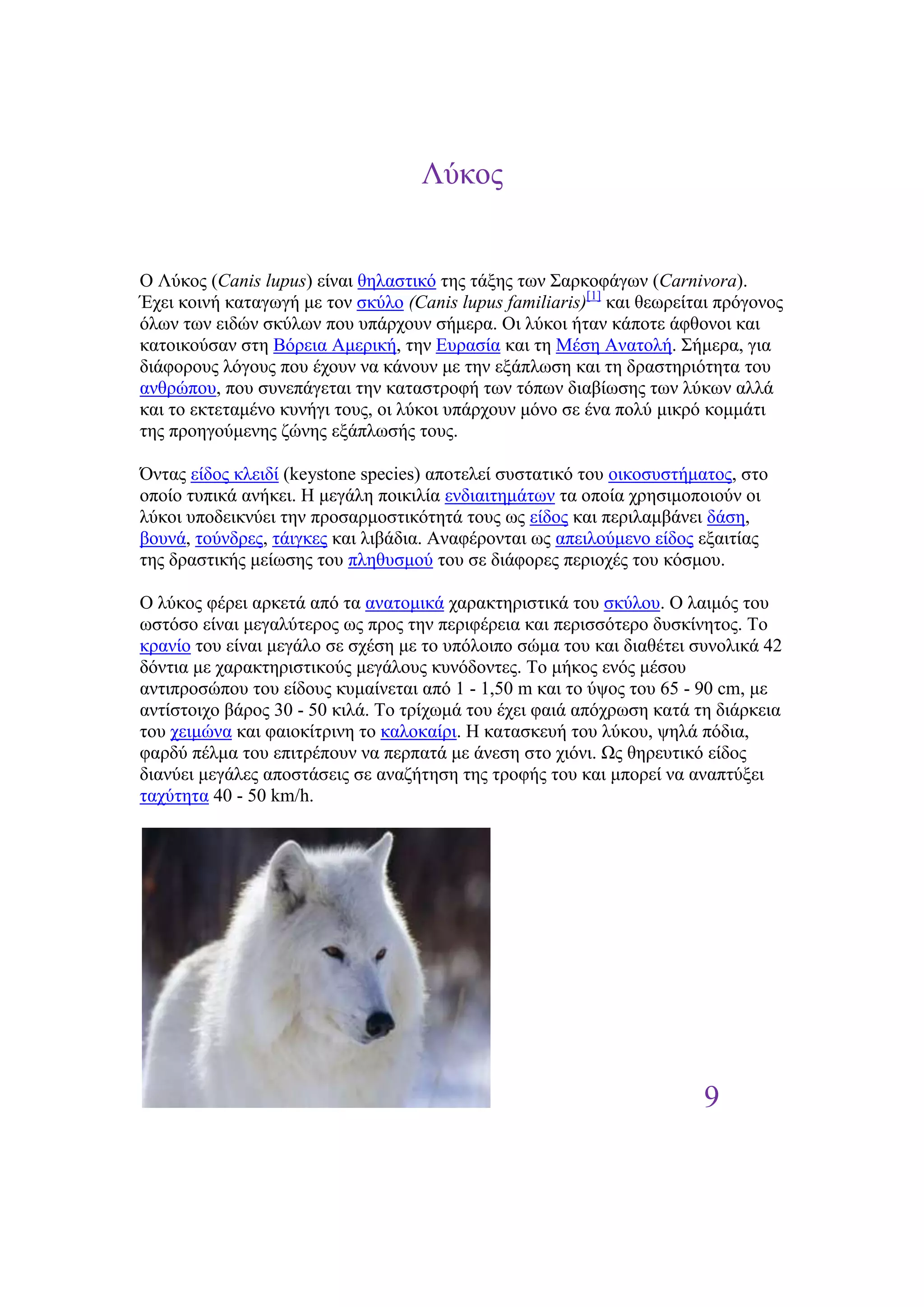 Λύθνο


Ο Λύθνο (Canis lupus) είλαη ζειαζηηθό ηεο ηάμεο ησλ ΢αξθνθάγσλ (Carnivora).
Έρεη θνηλή θαηαγσγή κε ηνλ ζθύιν (Canis lupus familiaris)[1] θαη ζεσξείηαη πξόγνλνο
όισλ ησλ εηδώλ ζθύισλ πνπ ππάξρνπλ ζήκεξα. Οη ιύθνη ήηαλ θάπνηε άθζνλνη θαη
θαηνηθνύζαλ ζηε Βόξεηα Ακεξηθή, ηελ Δπξαζία θαη ηε Μέζε Αλαηνιή. ΢ήκεξα, γηα
δηάθνξνπο ιόγνπο πνπ έρνπλ λα θάλνπλ κε ηελ εμάπισζε θαη ηε δξαζηεξηόηεηα ηνπ
αλζξώπνπ, πνπ ζπλεπάγεηαη ηελ θαηαζηξνθή ησλ ηόπσλ δηαβίσζεο ησλ ιύθσλ αιιά
θαη ην εθηεηακέλν θπλήγη ηνπο, νη ιύθνη ππάξρνπλ κόλν ζε έλα πνιύ κηθξό θνκκάηη
ηεο πξνεγνύκελεο δώλεο εμάπισζήο ηνπο.

Όληαο είδνο θιεηδί (keystone species) απνηειεί ζπζηαηηθό ηνπ νηθνζπζηήκαηνο, ζην
νπνίν ηππηθά αλήθεη. Ζ κεγάιε πνηθηιία ελδηαηηεκάησλ ηα νπνία ρξεζηκνπνηνύλ νη
ιύθνη ππνδεηθλύεη ηελ πξνζαξκνζηηθόηεηά ηνπο σο είδνο θαη πεξηιακβάλεη δάζε,
βνπλά, ηνύλδξεο, ηάηγθεο θαη ιηβάδηα. Αλαθέξνληαη σο απεηινύκελν είδνο εμαηηίαο
ηεο δξαζηηθήο κείσζεο ηνπ πιεζπζκνύ ηνπ ζε δηάθνξεο πεξηνρέο ηνπ θόζκνπ.

Ο ιύθνο θέξεη αξθεηά από ηα αλαηνκηθά ραξαθηεξηζηηθά ηνπ ζθύινπ. Ο ιαηκόο ηνπ
σζηόζν είλαη κεγαιύηεξνο σο πξνο ηελ πεξηθέξεηα θαη πεξηζζόηεξν δπζθίλεηνο. Σν
θξαλίν ηνπ είλαη κεγάιν ζε ζρέζε κε ην ππόινηπν ζώκα ηνπ θαη δηαζέηεη ζπλνιηθά 42
δόληηα κε ραξαθηεξηζηηθνύο κεγάινπο θπλόδνληεο. Σν κήθνο ελόο κέζνπ
αληηπξνζώπνπ ηνπ είδνπο θπκαίλεηαη από 1 - 1,50 m θαη ην ύςνο ηνπ 65 - 90 cm, κε
αληίζηνηρν βάξνο 30 - 50 θηιά. Σν ηξίρσκά ηνπ έρεη θαηά απόρξσζε θαηά ηε δηάξθεηα
ηνπ ρεηκώλα θαη θαηνθίηξηλε ην θαινθαίξη. Ζ θαηαζθεπή ηνπ ιύθνπ, ςειά πόδηα,
θαξδύ πέικα ηνπ επηηξέπνπλ λα πεξπαηά κε άλεζε ζην ρηόλη. Ωο ζεξεπηηθό είδνο
δηαλύεη κεγάιεο απνζηάζεηο ζε αλαδήηεζε ηεο ηξνθήο ηνπ θαη κπνξεί λα αλαπηύμεη
ηαρύηεηα 40 - 50 km/h.




                                                                        9
 