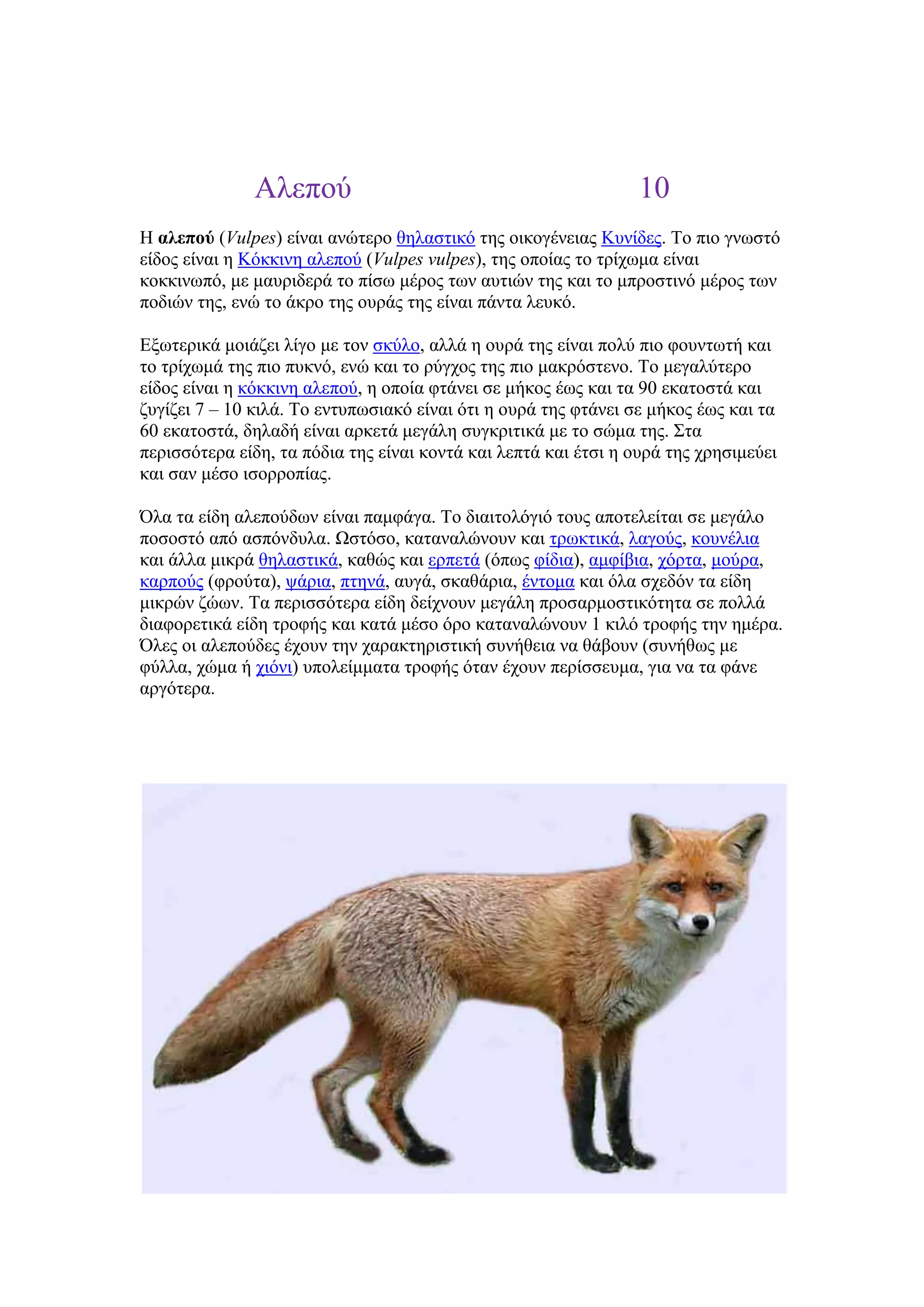 Αιεπνύ                                             10
Ζ αλεπού (Vulpes) είλαη αλώηεξν ζειαζηηθό ηεο νηθνγέλεηαο Κπλίδεο. Σν πην γλσζηό
είδνο είλαη ε Κόθθηλε αιεπνύ (Vulpes vulpes), ηεο νπνίαο ην ηξίρσκα είλαη
θνθθηλσπό, κε καπξηδεξά ην πίζσ κέξνο ησλ απηηώλ ηεο θαη ην κπξνζηηλό κέξνο ησλ
πνδηώλ ηεο, ελώ ην άθξν ηεο νπξάο ηεο είλαη πάληα ιεπθό.

Δμσηεξηθά κνηάδεη ιίγν κε ηνλ ζθύιν, αιιά ε νπξά ηεο είλαη πνιύ πην θνπλησηή θαη
ην ηξίρσκά ηεο πην ππθλό, ελώ θαη ην ξύγρνο ηεο πην καθξόζηελν. Σν κεγαιύηεξν
είδνο είλαη ε θόθθηλε αιεπνύ, ε νπνία θηάλεη ζε κήθνο έσο θαη ηα 90 εθαηνζηά θαη
δπγίδεη 7 – 10 θηιά. Σν εληππσζηαθό είλαη όηη ε νπξά ηεο θηάλεη ζε κήθνο έσο θαη ηα
60 εθαηνζηά, δειαδή είλαη αξθεηά κεγάιε ζπγθξηηηθά κε ην ζώκα ηεο. ΢ηα
πεξηζζόηεξα είδε, ηα πόδηα ηεο είλαη θνληά θαη ιεπηά θαη έηζη ε νπξά ηεο ρξεζηκεύεη
θαη ζαλ κέζν ηζνξξνπίαο.

Όια ηα είδε αιεπνύδσλ είλαη πακθάγα. Σν δηαηηνιόγηό ηνπο απνηειείηαη ζε κεγάιν
πνζνζηό από αζπόλδπια. Ωζηόζν, θαηαλαιώλνπλ θαη ηξσθηηθά, ιαγνύο, θνπλέιηα
θαη άιια κηθξά ζειαζηηθά, θαζώο θαη εξπεηά (όπσο θίδηα), ακθίβηα, ρόξηα, κνύξα,
θαξπνύο (θξνύηα), ςάξηα, πηελά, απγά, ζθαζάξηα, έληνκα θαη όια ζρεδόλ ηα είδε
κηθξώλ δώσλ. Σα πεξηζζόηεξα είδε δείρλνπλ κεγάιε πξνζαξκνζηηθόηεηα ζε πνιιά
δηαθνξεηηθά είδε ηξνθήο θαη θαηά κέζν όξν θαηαλαιώλνπλ 1 θηιό ηξνθήο ηελ εκέξα.
Όιεο νη αιεπνύδεο έρνπλ ηελ ραξαθηεξηζηηθή ζπλήζεηα λα ζάβνπλ (ζπλήζσο κε
θύιια, ρώκα ή ρηόλη) ππνιείκκαηα ηξνθήο όηαλ έρνπλ πεξίζζεπκα, γηα λα ηα θάλε
αξγόηεξα.
 
