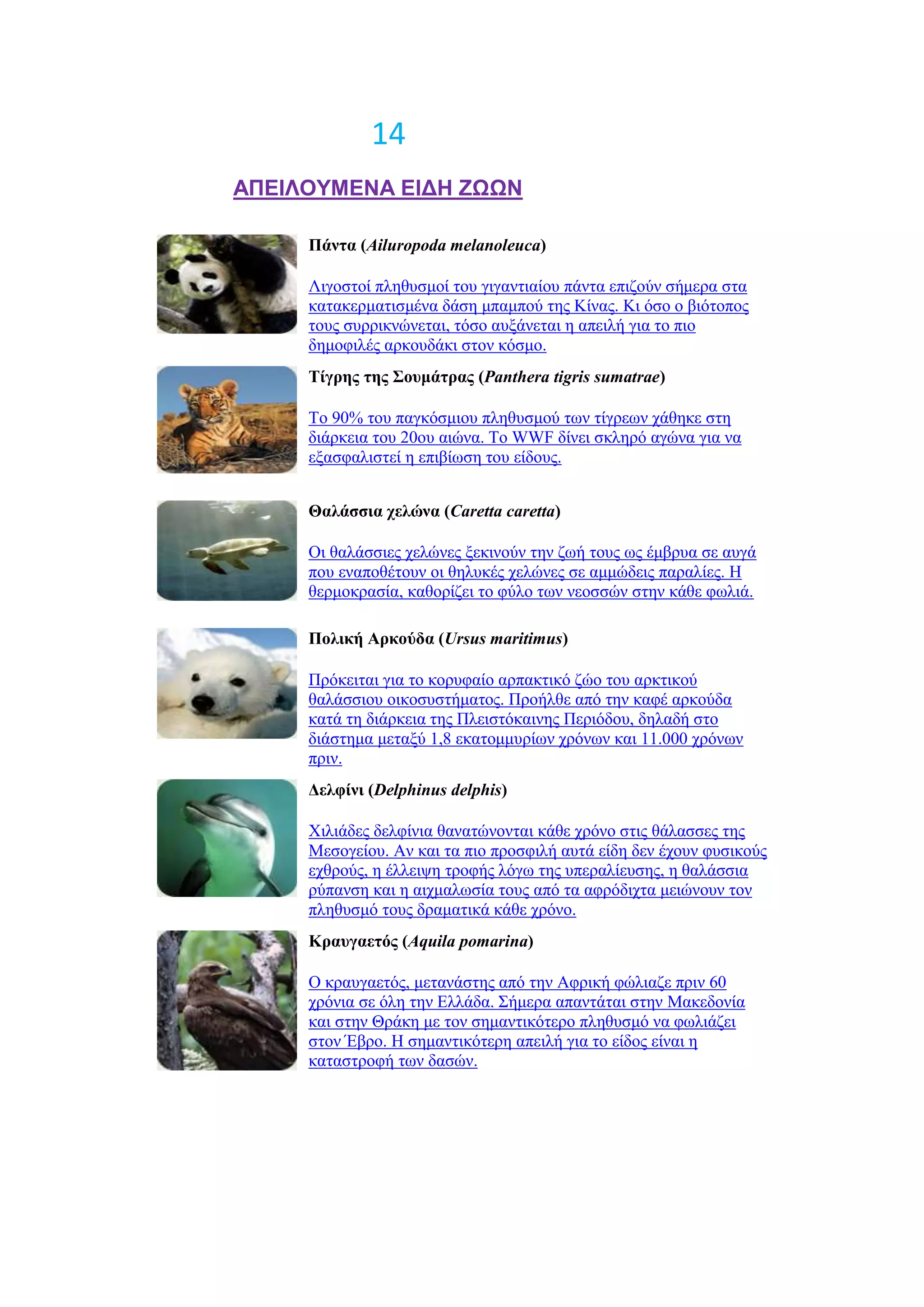 14
ΑΠΕΘΛΟΥΜΕΝΑ ΕΘΔΗ ΖΩΩΝ

     Πάνηα (Ailuropoda melanoleuca)

     Ληγνζηνί πιεζπζκνί ηνπ γηγαληηαίνπ πάληα επηδνύλ ζήκεξα ζηα
     θαηαθεξκαηηζκέλα δάζε κπακπνύ ηεο Κίλαο. Κη όζν ν βηόηνπνο
     ηνπο ζπξξηθλώλεηαη, ηόζν απμάλεηαη ε απεηιή γηα ην πην
     δεκνθηιέο αξθνπδάθη ζηνλ θόζκν.
     Τίγπερ ηερ Σοςμάηπαρ (Panthera tigris sumatrae)

     Σν 90% ηνπ παγθόζκηνπ πιεζπζκνύ ησλ ηίγξεσλ ράζεθε ζηε
     δηάξθεηα ηνπ 20νπ αηώλα. Σν WWF δίλεη ζθιεξό αγώλα γηα λα
     εμαζθαιηζηεί ε επηβίσζε ηνπ είδνπο.


     Θαλάζζια σελώνα (Caretta caretta)

     Οη ζαιάζζηεο ρειώλεο μεθηλνύλ ηελ δσή ηνπο σο έκβξπα ζε απγά
     πνπ ελαπνζέηνπλ νη ζειπθέο ρειώλεο ζε ακκώδεηο παξαιίεο. Ζ
     ζεξκνθξαζία, θαζνξίδεη ην θύιν ησλ λενζζώλ ζηελ θάζε θσιηά.

     Πολική Απκούδα (Ursus maritimus)

     Πξόθεηηαη γηα ην θνξπθαίν αξπαθηηθό δών ηνπ αξθηηθνύ
     ζαιάζζηνπ νηθνζπζηήκαηνο. Πξνήιζε από ηελ θαθέ αξθνύδα
     θαηά ηε δηάξθεηα ηεο Πιεηζηόθαηλεο Πεξηόδνπ, δειαδή ζην
     δηάζηεκα κεηαμύ 1,8 εθαηνκκπξίσλ ρξόλσλ θαη 11.000 ρξόλσλ
     πξηλ.
     Δελθίνι (Delphinus delphis)

     Υηιηάδεο δειθίληα ζαλαηώλνληαη θάζε ρξόλν ζηηο ζάιαζζεο ηεο
     Μεζνγείνπ. Αλ θαη ηα πην πξνζθηιή απηά είδε δελ έρνπλ θπζηθνύο
     ερζξνύο, ε έιιεηςε ηξνθήο ιόγσ ηεο ππεξαιίεπζεο, ε ζαιάζζηα
     ξύπαλζε θαη ε αηρκαισζία ηνπο από ηα αθξόδηρηα κεηώλνπλ ηνλ
     πιεζπζκό ηνπο δξακαηηθά θάζε ρξόλν.
     Kπαςγαεηόρ (Aquila pomarina)

     Ο θξαπγαεηόο, κεηαλάζηεο από ηελ Αθξηθή θώιηαδε πξηλ 60
     ρξόληα ζε όιε ηελ Διιάδα. ΢ήκεξα απαληάηαη ζηελ Μαθεδνλία
     θαη ζηελ Θξάθε κε ηνλ ζεκαληηθόηεξν πιεζπζκό λα θσιηάδεη
     ζηνλ Έβξν. Ζ ζεκαληηθόηεξε απεηιή γηα ην είδνο είλαη ε
     θαηαζηξνθή ησλ δαζώλ.
 