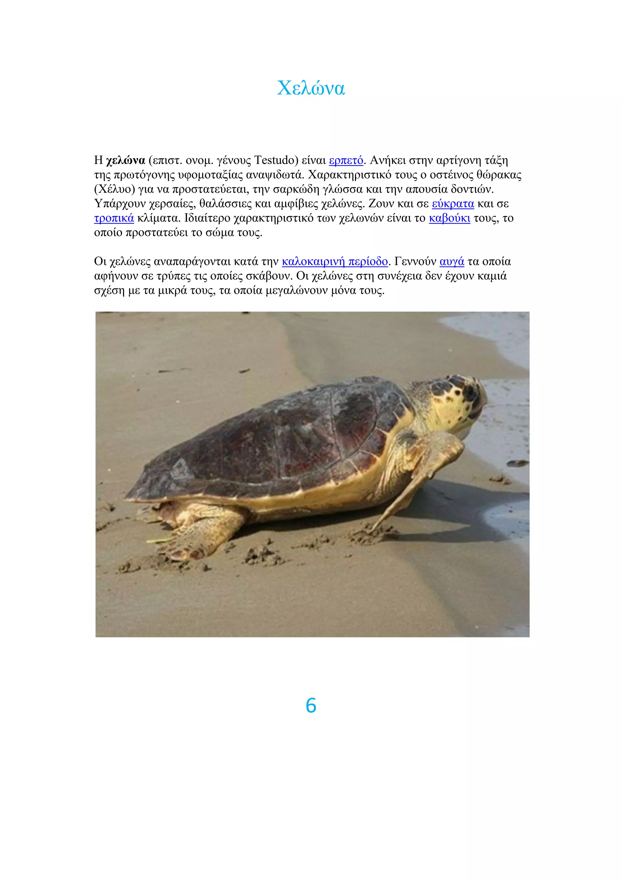 Υειώλα


Ζ σελώνα (επηζη. νλνκ. γέλνπο Testudo) είλαη εξπεηό. Αλήθεη ζηελ αξηίγνλε ηάμε
ηεο πξσηόγνλεο πθνκνηαμίαο αλαςηδσηά. Υαξαθηεξηζηηθό ηνπο ν νζηέηλνο ζώξαθαο
(Υέιπν) γηα λα πξνζηαηεύεηαη, ηελ ζαξθώδε γιώζζα θαη ηελ απνπζία δνληηώλ.
Τπάξρνπλ ρεξζαίεο, ζαιάζζηεο θαη ακθίβηεο ρειώλεο. Ενπλ θαη ζε εύθξαηα θαη ζε
ηξνπηθά θιίκαηα. Ηδηαίηεξν ραξαθηεξηζηηθό ησλ ρεισλώλ είλαη ην θαβνύθη ηνπο, ην
νπνίν πξνζηαηεύεη ην ζώκα ηνπο.

Οη ρειώλεο αλαπαξάγνληαη θαηά ηελ θαινθαηξηλή πεξίνδν. Γελλνύλ απγά ηα νπνία
αθήλνπλ ζε ηξύπεο ηηο νπνίεο ζθάβνπλ. Οη ρειώλεο ζηε ζπλέρεηα δελ έρνπλ θακηά
ζρέζε κε ηα κηθξά ηνπο, ηα νπνία κεγαιώλνπλ κόλα ηνπο.




                                       6
 