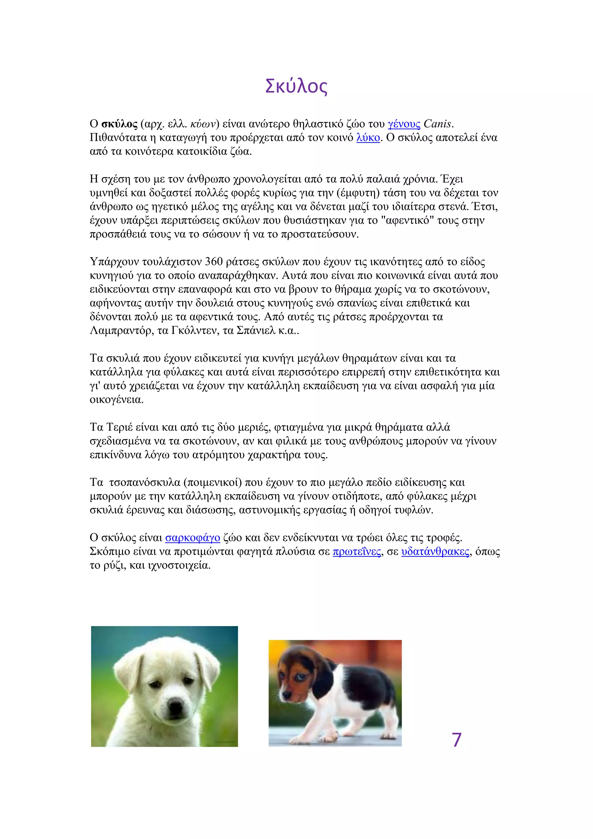 ΢κφλοσ
O ζκύλορ (αξρ. ειι. κύων) είλαη αλώηεξν ζειαζηηθό δών ηνπ γέλνπο Canis.
Πηζαλόηαηα ε θαηαγσγή ηνπ πξνέξρεηαη από ηνλ θνηλό ιύθν. Ο ζθύινο απνηειεί έλα
από ηα θνηλόηεξα θαηνηθίδηα δώα.

Ζ ζρέζε ηνπ κε ηνλ άλζξσπν ρξνλνινγείηαη από ηα πνιύ παιαηά ρξόληα. Έρεη
πκλεζεί θαη δνμαζηεί πνιιέο θνξέο θπξίσο γηα ηελ (έκθπηε) ηάζε ηνπ λα δέρεηαη ηνλ
άλζξσπν σο εγεηηθό κέινο ηεο αγέιεο θαη λα δέλεηαη καδί ηνπ ηδηαίηεξα ζηελά. Έηζη,
έρνπλ ππάξμεη πεξηπηώζεηο ζθύισλ πνπ ζπζηάζηεθαλ γηα ην "αθεληηθό" ηνπο ζηελ
πξνζπάζεηά ηνπο λα ην ζώζνπλ ή λα ην πξνζηαηεύζνπλ.

Τπάξρνπλ ηνπιάρηζηνλ 360 ξάηζεο ζθύισλ πνπ έρνπλ ηηο ηθαλόηεηεο από ην είδνο
θπλεγηνύ γηα ην νπνίν αλαπαξάρζεθαλ. Απηά πνπ είλαη πην θνηλσληθά είλαη απηά πνπ
εηδηθεύνληαη ζηελ επαλαθνξά θαη ζην λα βξνπλ ην ζήξακα ρσξίο λα ην ζθνηώλνπλ,
αθήλνληαο απηήλ ηελ δνπιεηά ζηνπο θπλεγνύο ελώ ζπαλίσο είλαη επηζεηηθά θαη
δέλνληαη πνιύ κε ηα αθεληηθά ηνπο. Από απηέο ηηο ξάηζεο πξνέξρνληαη ηα
Λακπξαληόξ, ηα Γθόιληελ, ηα ΢πάληει θ.α..

Σα ζθπιηά πνπ έρνπλ εηδηθεπηεί γηα θπλήγη κεγάισλ ζεξακάησλ είλαη θαη ηα
θαηάιιεια γηα θύιαθεο θαη απηά είλαη πεξηζζόηεξν επηξξεπή ζηελ επηζεηηθόηεηα θαη
γη' απηό ρξεηάδεηαη λα έρνπλ ηελ θαηάιιειε εθπαίδεπζε γηα λα είλαη αζθαιή γηα κία
νηθνγέλεηα.

Σα Σεξηέ είλαη θαη από ηηο δύν κεξηέο, θηηαγκέλα γηα κηθξά ζεξάκαηα αιιά
ζρεδηαζκέλα λα ηα ζθνηώλνπλ, αλ θαη θηιηθά κε ηνπο αλζξώπνπο κπνξνύλ λα γίλνπλ
επηθίλδπλα ιόγσ ηνπ αηξόκεηνπ ραξαθηήξα ηνπο.

Tα ηζνπαλόζθπια (πνηκεληθνί) πνπ έρνπλ ην πην κεγάιν πεδίν εηδίθεπζεο θαη
κπνξνύλ κε ηελ θαηάιιειε εθπαίδεπζε λα γίλνπλ νηηδήπνηε, από θύιαθεο κέρξη
ζθπιηά έξεπλαο θαη δηάζσζεο, αζηπλνκηθήο εξγαζίαο ή νδεγνί ηπθιώλ.

Ο ζθύινο είλαη ζαξθνθάγν δών θαη δελ ελδείθλπηαη λα ηξώεη όιεο ηηο ηξνθέο.
΢θόπηκν είλαη λα πξνηηκώληαη θαγεηά πινύζηα ζε πξσηεΐλεο, ζε πδαηάλζξαθεο, όπσο
ην ξύδη, θαη ηρλνζηνηρεία.




                                                                        7
 