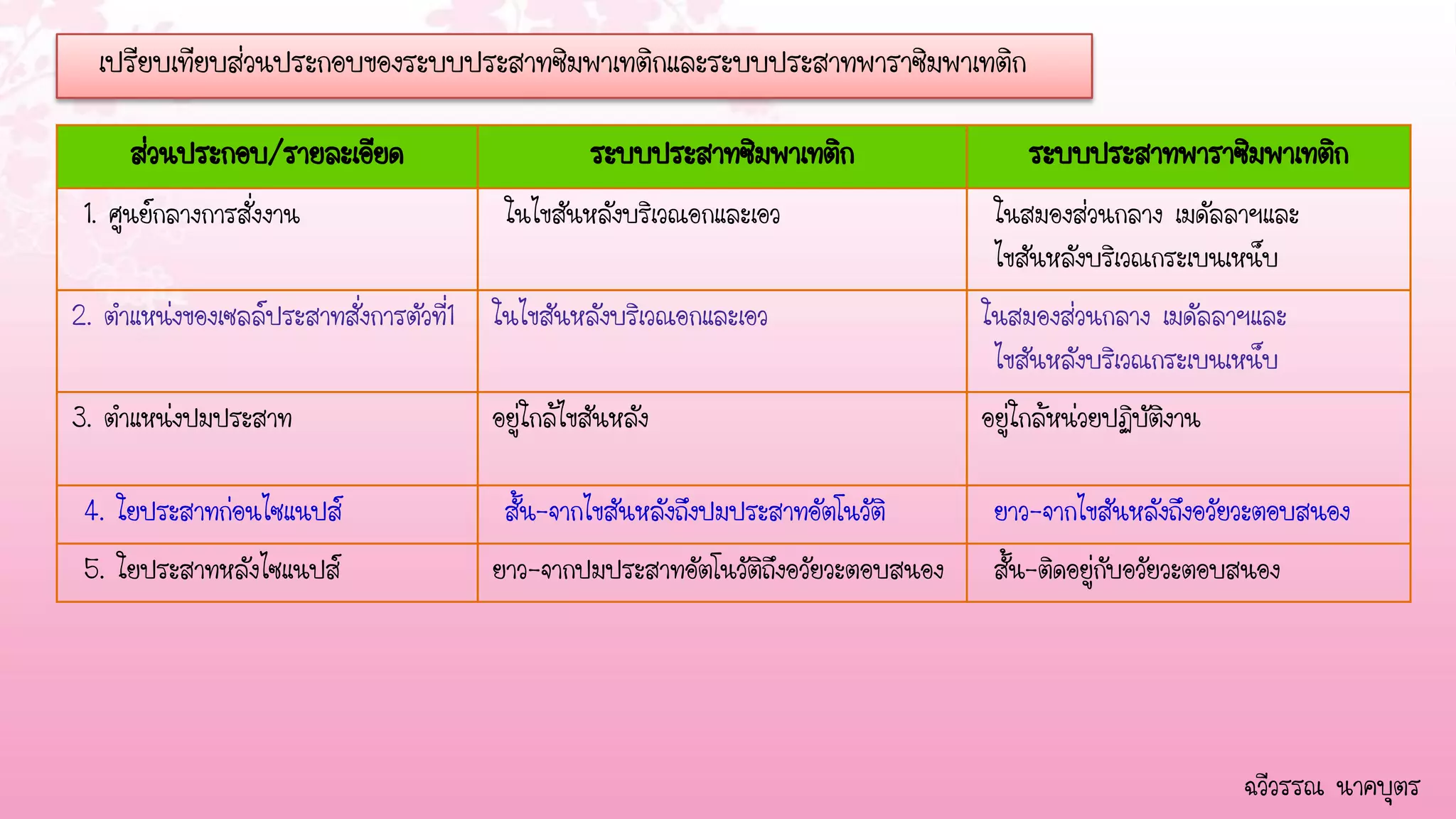 เปรียบเทียบส่วนประกอบของระบบประสาทซิมพาเทติกและระบบประสาทพาราซิมพาเทติก

     ส่วนประกอบ/รายละเอียด                         ระบบประสาทซิมพาเทติก                  ระบบประสาทพาราซิมพาเทติก
 1. ศูนย์กลางการสั่งงาน                   ในไขสันหลังบริเวณอกและเอว                  ในสมองส่วนกลาง เมดัลลาฯและ
                                                                                     ไขสันหลังบริเวณกระเบนเหน็บ
2. ตาแหน่งของเซลล์ประสาทสั่งการตัวที่1   ในไขสันหลังบริเวณอกและเอว                  ในสมองส่วนกลาง เมดัลลาฯและ
                                                                                     ไขสันหลังบริเวณกระเบนเหน็บ
3. ตาแหน่งปมประสาท                       อยู่ใกล้ไขสันหลัง                          อยู่ใกล้หน่วยปฏิบัติงาน

 4. ใยประสาทก่อนไซแนปส์                   สั้น-จากไขสันหลังถึงปมประสาทอัตโนวัติ      ยาว-จากไขสันหลังถึงอวัยวะตอบสนอง
 5. ใยประสาทหลังไซแนปส์                  ยาว-จากปมประสาทอัตโนวัติถึงอวัยวะตอบสนอง    สั้น-ติดอยู่กับอวัยวะตอบสนอง




                                                                                                              ฉวีวรรณ นาคบุตร
 