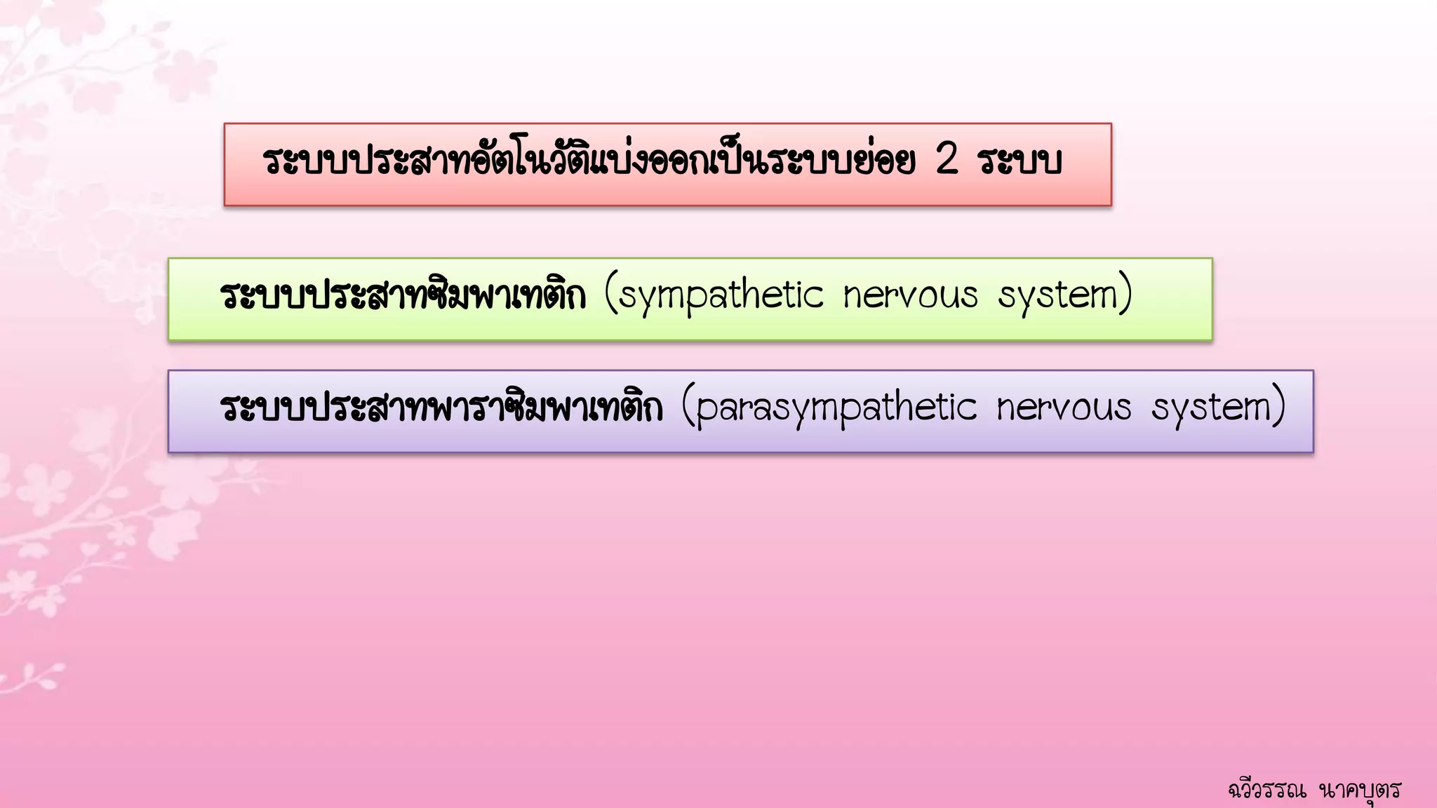 ระบบประสาทอัตโนวัตแบ่งออกเป็นระบบย่อย 2 ระบบ
                    ิ

ระบบประสาทซิมพาเทติก (sympathetic nervous system)

ระบบประสาทพาราซิมพาเทติก (parasympathetic nervous system)




                                                     ฉวีวรรณ นาคบุตร
 
