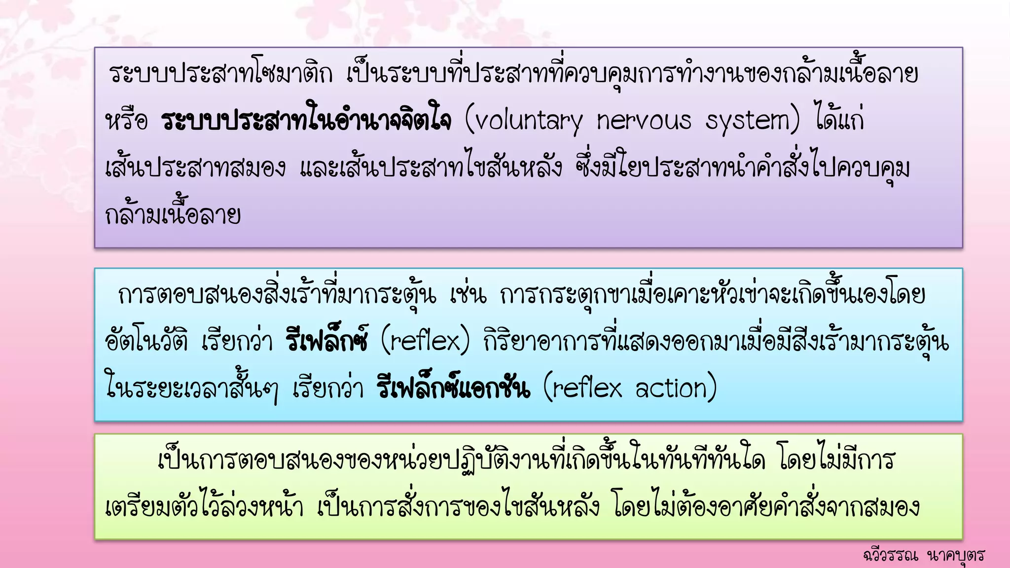ระบบประสาทโซมาติก เป็นระบบที่ประสาทที่ควบคุมการทางานของกล้ามเนื้อลาย
หรือ ระบบประสาทในอานาจจิตใจ (voluntary nervous system) ได้แก่
เส้นประสาทสมอง และเส้นประสาทไขสันหลัง ซึ่งมีใยประสาทนาคาสั่งไปควบคุม
กล้ามเนื้อลาย

 การตอบสนองสิ่งเร้าที่มากระตุ้น เช่น การกระตุกขาเมื่อเคาะหัวเข่าจะเกิดขึ้นเองโดย
อัตโนวัติ เรียกว่า รีเฟล็กซ์ (reflex) กิริยาิอาการที่แสดงออกมาิิเมื่อมีสีิงเร้ามากระตุ้น
ในระยะเวลาสั้นๆ เรียกว่า รีเฟล็กซ์แอกชัน (reflex action)
     เป็นการตอบสนองของหน่วยปฏิบัติงานที่เกิดขึ้นในทันทีทันใด โดยไม่มีการ
เตรียมตัวไว้ล่วงหน้า เป็นการสั่งการของไขสันหลัง โดยไม่ต้องอาศัยคาสั่งจากสมอง
                                                                               ฉวีวรรณ นาคบุตร
 