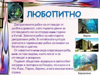 Декоративните рибки се отглеждат от дълбока древност, като първите данни за отглеждането им са отпреди 2000 години в Китай. Златните рибки са най-старите декоративни риби. В китайската култура златните и червеникави рибки са символ на богатство и щастие. От известните 8780 вида сладководна риба, 2645 са тези видове, които могат и се отглеждат в аквариум.  Първият обществен аквариум в света е бил изграден в зоопарка на Лондон, по-късно и в Ню Йорк, Париж, Берлин, а сега има във всяка страна. Варна Барселона 