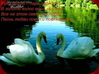 Руки милой – пара лебедей –  В золоте волос моих ныряют. Все на этом свете из людей Песнь любви поют и повторяют.  