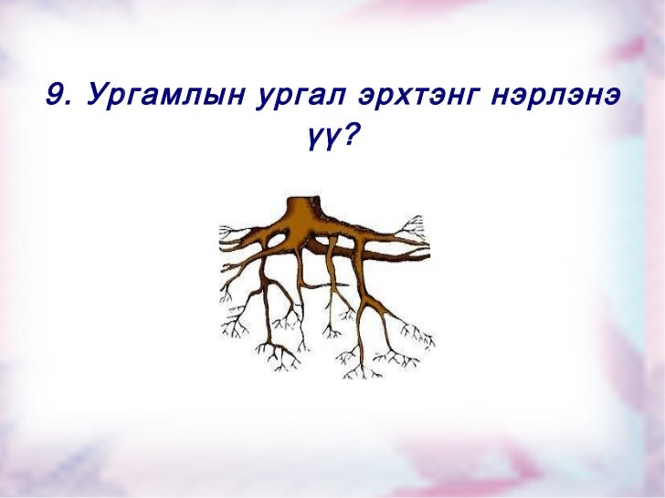 тест