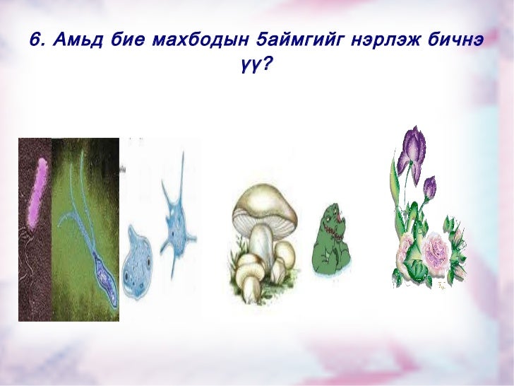 тест