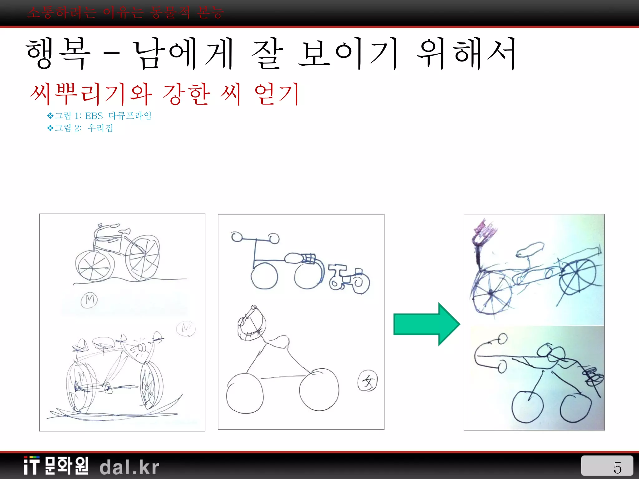 소통하려는 이유는 동물적 본능 행복 - 남에게 잘 보이기 위해서 씨뿌리기와 강한 씨 얻기 그림 1: EBS  다큐프라임 그림 2:  우리집 