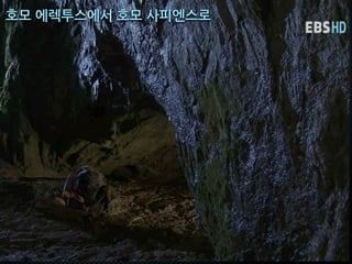 호모에렉투스에서호모사피엔스로
 