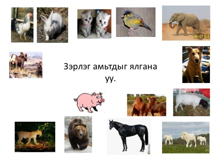 хүн орчин
