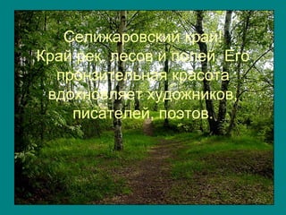 Селижаровский край!
Край рек, лесов и полей. Его
  пронзительная красота
 вдохновляет художников,
    писателей, поэтов.
 