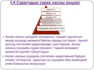 I.4 Сурагчдын сурах насны онцлог
                                 нярай (0-1 )

                                Балчир (1-3)

                                Цэцэрлэг (3-7)

                          Сургуулийн бага нас (8-10)

                           Шилжилтийн нас (12-16)

                       Сургуулийн ахлах нас (17-19)



 Ахлах насны хүүхдийн анхаарлын түвшин сургалтын
  явцад хүүхдэд нөлөөлж байгаа гадаад сэтгэгдэл, тэдний
  дотоод сэтгэлийн хөдөлгөөнөөс шалтгаална. Ахлах
  насанд хүүхдийн сурах процесст тэдний анхаарал
  идэвхтэй үүргийг гүйцэтгэддэг.
 Ахлах насанд хүүхдийн сэтгэлийн хөдөлгөөний байдал
  үлэмж тогтвортой суралцах нь хүүхдийн бие махбодийг
  улам бэхжүүлэн хөгжүүлдэг.
 
