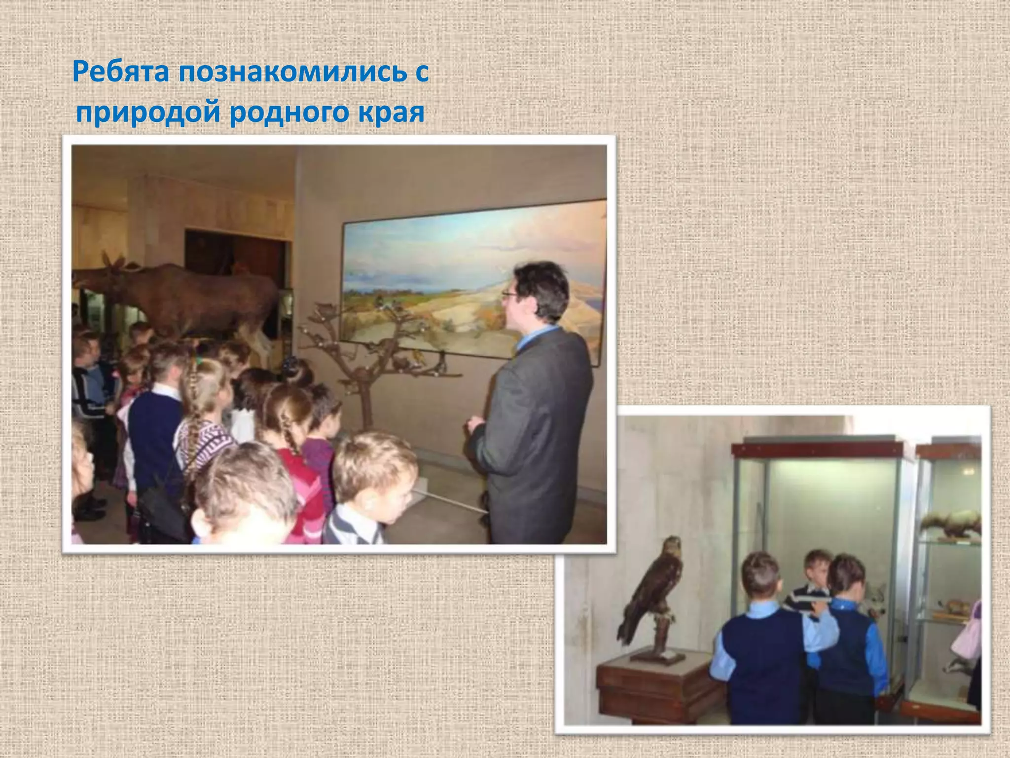 Ребята познакомились с
природой родного края
 