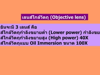 กล้องแต่ละอันจะมี  3  เลนส์ คือ -  เลนส์ใกล้วัตถุกำลังขยายต่ำ  (Lower power)  กำลังขยาย  4 X, 10X -   เลนส์ใกล้วัตถุกำลังขยายสูง  (High power)  40 X -   เลนส์ใกล้วัตถุแบบ  Oil Immersion  ขนาด  100 X เลนส์ใกล้วัตถุ  (Objective lens)   