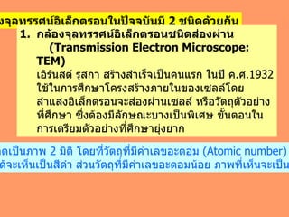 กล้องจุลทรรศน์อิเล็กตรอนในปัจจุบันมี  2  ชนิดด้วยกัน กล้องจุลทรรศน์อิเล็กตรอนชนิดส่องผ่าน (Transmission Electron Microscope: TEM)   เอิร์นสต์ รุสกา สร้างสำเร็จเป็นคนแรก ในปี ค . ศ .1932  ใช้ในการศึกษาโครงสร้างภายในของเซลล์โดยลำแสงอิเล็กตรอนจะส่องผ่านเซลล์ หรือวัตถุตัวอย่างที่ศึกษา ซึ่งต้องมีลักษณะบางเป็นพิเศษ ขั้นตอนในการเตรียมตัวอย่างที่ศึกษายุ่งยาก ทำให้เกิดเป็นภาพ  2  มิติ โดยที่วัตถุที่มีค่าเลขอะตอม  (Atomic number)   มากนั้น ภาพที่ได้จะเห็นเป็นสีดำ ส่วนวัตถุที่มีค่าเลขอะตอมน้อย ภาพที่เห็นจะเป็นสีขาว 