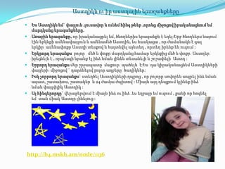 Աստղիկն ու իր աստղային երազանքները

   Ես Աստղիկն եմ` փայլուն ,լուսավոր և ունեմ հինգ թևեր ,որոնց միջոցով իրականացնում եմ
    մարդկանց երազանքները.
   Առաջին երազանքը, որ իրականացրել եմ, ծնողներիս երազանքն է եղել:Երբ ծնողներս նայում
    էին երկնքի ամենափայլուն և ամենամեծ Աստղին, ես հասկացա , որ ժամանակն է գալ
    երկիր ամենափոքր Աստղի տեսքով և հայտնվել այնտեղ , որտեղ իրենք են ուզում :
   Երկրորդ երազանքս բոլոր մեծ և փոքր մարդկանց համար երկնքից մեծ և փոքր Աստղեր
    իջեցնելն է , որպեսզի նրանք էլ ինձ նման լինեն տեսանելի և շոշափելի Աստղ :
   Երրորդ երազանքս մեր շրջապատը մաքուր պահելն է:Ես դա կիրականացնեմ Աստղիկների
    փայլերի միջոցով ` դարձնելով բոլոր աղբերը ծաղիկներ:
   Իսկ չորրորդ երազանքս` ստեղծել Աստղիկների դպրոց , որ բոլորը սովորեն ապրել ինձ նման
    ազատ, շատախոս, շատակեր և 24 ժամյա ժպիտով : Միայն այդ դեպքում կլինեք ինձ
    նման փայլփլիկ Աստղիկ :
   Այ հինգերորդը` վերաբերվում է միայն ինձ ու ինձ .ես եղբայր եմ ուզում , քանի որ հոգնել
    եմ տան միակ Աստղը լինելուց :




http://b4.mskh.am/node/1136
 