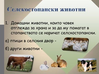 1. Домашни животни, които човек
   отглежда за храна и за да му помагат в
   стопанството се наричат селскостопански.
а) п...