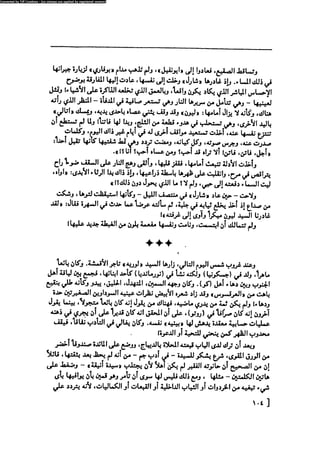 مدام بوفارى