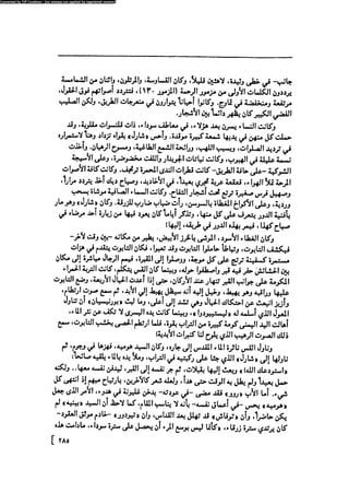 مدام بوفارى
