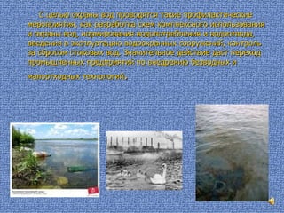 <ul><li>С целью охраны вод проводятся такие профилактические мероприятия, как разработка схем комплексного использования и...