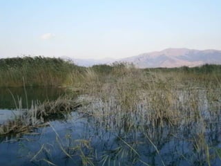Μικρή και Μεγάλη Πρέσπα