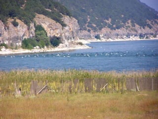 Μικρή και Μεγάλη Πρέσπα