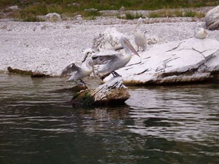 Μικρή και Μεγάλη Πρέσπα