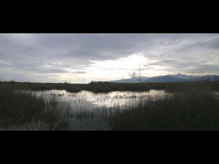 Μικρή και Μεγάλη Πρέσπα