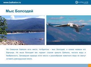 www.baikalov.ru



  Мыс Болсодей




  На Северном Байкале есть место, по-бурятски - мыс Болсодей, а казаки назвали его
  Баргунда. На мысе Болсодей вас поразит строгая красота Байкала, чистота воды и
  безбрежность. Заповедная природа этого места и разнообразие животного мира не смогут
  оставить равнодушным никого.
 