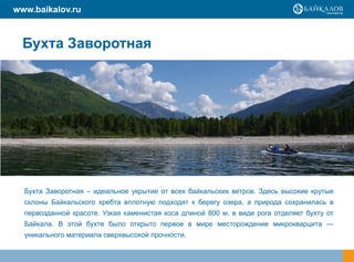 www.baikalov.ru



  Бухта Заворотная




  Бухта Заворотная – идеальное укрытие от всех байкальских ветров. Здесь высокие крутые
  склоны Байкальского хребта вплотную подходят к берегу озера, а природа сохранилась в
  первозданной красоте. Узкая каменистая коса длиной 800 м. в виде рога отделяет бухту от
  Байкала. В этой бухте было открыто первое в мире месторождение микрокварцита —
  уникального материала сверхвысокой прочности.
 