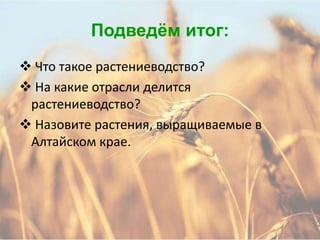 Подведѐм итог:
 Что такое растениеводство?
 На какие отрасли делится
 растениеводство?
 Назовите растения, выращиваемые в
 Алтайском крае.
 