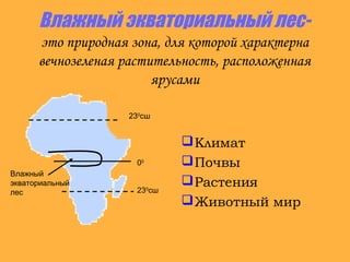 Влажный экваториальный лес-
это природная зона, для которой характерна
вечнозеленая растительность, расположенная
ярусами
Климат
Почвы
Растения
Животный мир
230
сш
00
230
сш
Влажный
экваториальный
лес
 