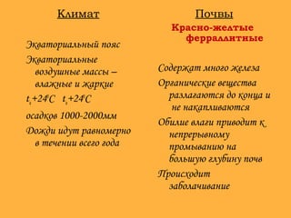 Почвы
Красно-желтые
ферраллитные
Содержат много железа
Органические вещества
разлагаются до конца и
не накапливаются
Обилие влаги приводит к
непрерывному
промыванию на
большую глубину почв
Происходит
заболачивание
Климат
Экваториальный пояс
Экваториальные
воздушные массы –
влажные и жаркие
tи+240
С tя+240
С
осадков 1000-2000мм
Дожди идут равномерно
в течении всего года
 