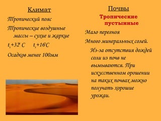 Климат
Тропический пояс
Тропические воздушные
массы – сухие и жаркие
tи+320
С tя+160
С
Осадков менее 100мм
Почвы
Тропические
пустынные
Мало перегноя
Много минеральных солей.
Из-за отсутствия дождей
соли из почв не
вымываются. При
искусственном орошении
на таких почвах можно
получать хорошие
урожаи.
 