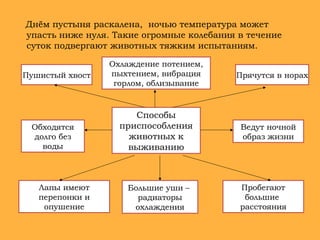 Днём пустыня раскалена, ночью температура может
упасть ниже нуля. Такие огромные колебания в течение
суток подвергают животных тяжким испытаниям.
Пушистый хвост Прячутся в норах
Охлаждение потением,
пыхтением, вибрация
горлом, облизывание
Большие уши –
радиаторы
охлаждения
Ведут ночной
образ жизни
Пробегают
большие
расстояния
Обходятся
долго без
воды
Лапы имеют
перепонки и
опушение
Способы
приспособления
животных к
выживанию
 