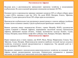 Растениеводство Африки
Ведущая роль в растениеводстве принадлежит зерновому хозяйству и возделыванию
клубнеплодов. Их доля в валовой продукции земледелия составляют 60-70%.
Основное место в производстве зерновых занимают кукуруза (36% от общего сбора), просо
и сорго (28%), пшеница и рис (по 14%). На долю ЮАР, Нигерии, Египта, Эфиопии,
Марокко, Судана приходится более 50% сбора зерна на континенте.
Производство клубнеплодов (для внутреннего рынка) развито в многих районах (особенно
в зонах лесов и влажных саванн). Среди клубнеплодов преобладает маниок (56%).
Важное значение имеют овощеводство (Египет, страны Магриба, ЮАР), плодоводство
(страны Северной и Южной Африки), выращивание масличной пальмы (Тропическая
Африка), финиковой пальмы (Египет, Алжир), волокнистых культур (Египет, Судан,
Уганда, Нигерия), какао-бобов и кофе (Кот-д,Ивуар, Гана, Камерун, Нигерия, Эфиопия).
Животноводство Африки
Играет важную роль в таких странах, как ЮАР, Мали, Нигер, Мавритания, Сомали, Чад,
Эфиопия, Судан, Нигерия. Животноводство является наиболее отсталой частью сельского
хозяйства, отличается низкой продуктивностью и товарностью. Так средний удой на 1
корову примерно 490 литров в год.
Внедрению смешанного земледельческо-животноводческого хозяйства на основной части
Африки мешает распространение мухи-цеце. Отрицательно сказываются и традиции
населения, по которым идет накопление скота (как мерила богатства).
 