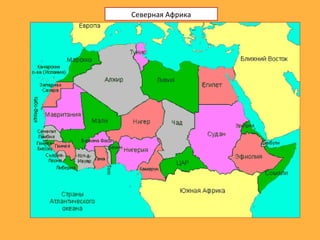 Северная Африка
 