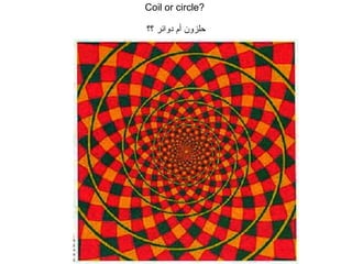 Coil or circle?  حلزون أم دوائر ؟؟ 