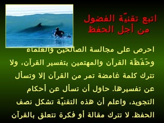 احرص على مجالسة الصالحين والعلماء وحَفَظَة القرآن والمهتمين بتفسير القرآن، ولا تترك كلمة غامضة تمر من القرآن إلا وتسأل عن تفسيرها .  حاول أن تسأل عن أحكام التجويد، واعلم أن هذه التقنيّة تشكل نصف الحفظ .  لا تترك مقالة أو فكرة تتعلق بالقرآن إلا وتطلع عليها .   اتبع تقنيّة الفضول من أجل الحفظ 