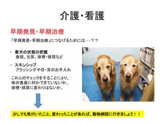 介護・看護	
早期発見・早期治療	
「早期発見・早期治療」につなげるためには･･･？？	
・　愛犬の状態の把握	
  
　　食欲、元気、排便・排尿など	
  
・　スキンシップ	
  
　　ブラッシングや目・耳のお手入れ	
これらのチェックをす...